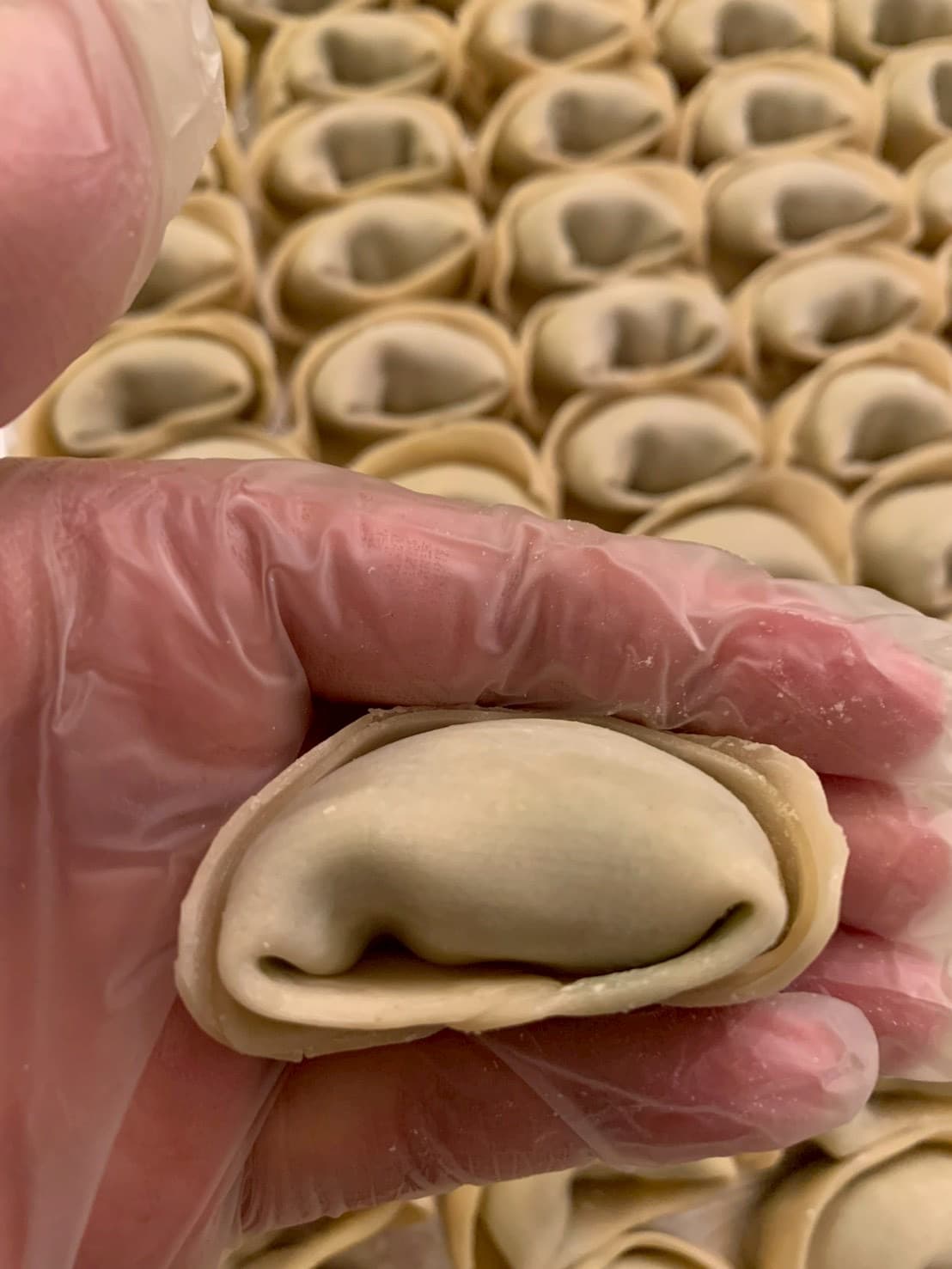 豬肉薺菜大餛飩 (40 個)